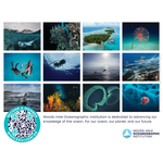 2027 WHOI Calendar