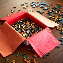 An Evening Alvin Dive Jigsaw Puzzle