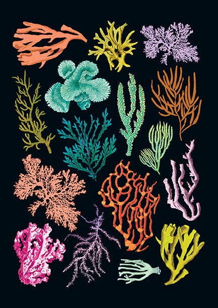 Art of Nature: Under the Sea Sewn Notebook Collection (Set of 3)