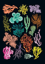 Art of Nature: Under the Sea Sewn Notebook Collection (Set of 3)