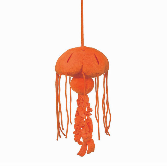 Chrysaora Jellyfish Stuffed Animal