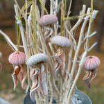 Shell Jellyfish Ornament