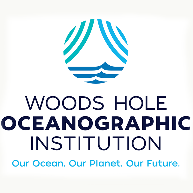 Logo and Tagline Sticker