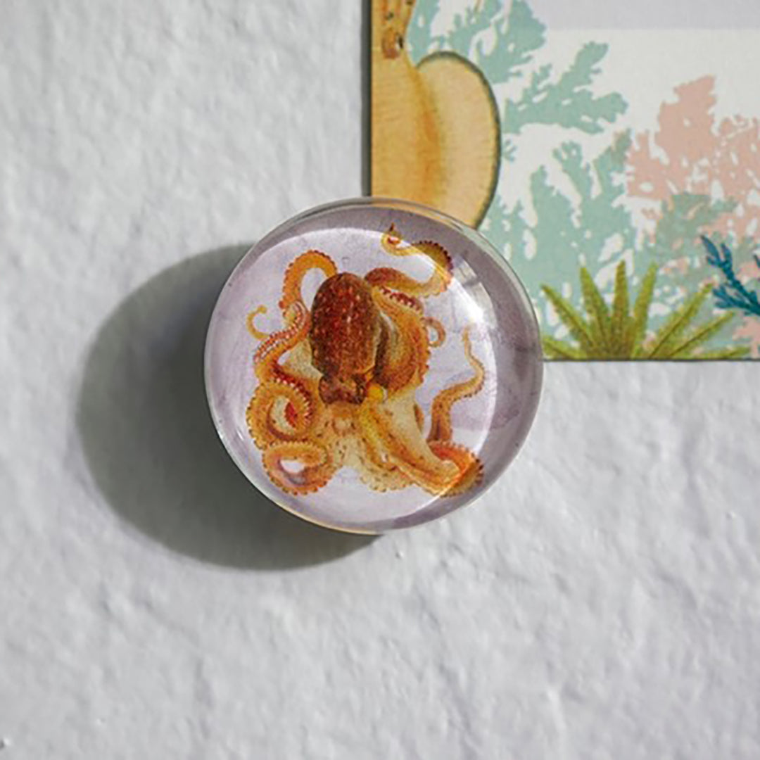 Under the Sea Magnet Set