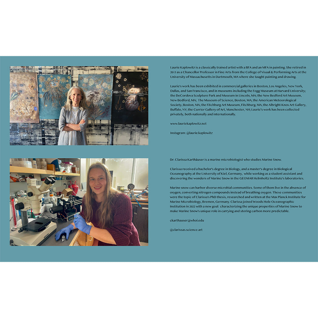 Marine Snow: a lyric meditation