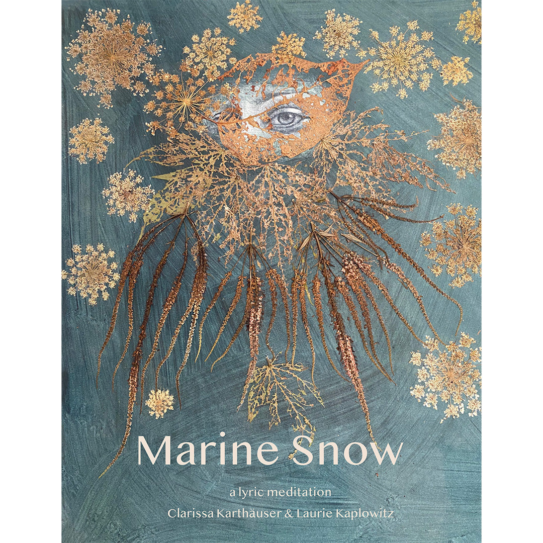 Marine Snow: a lyric meditation