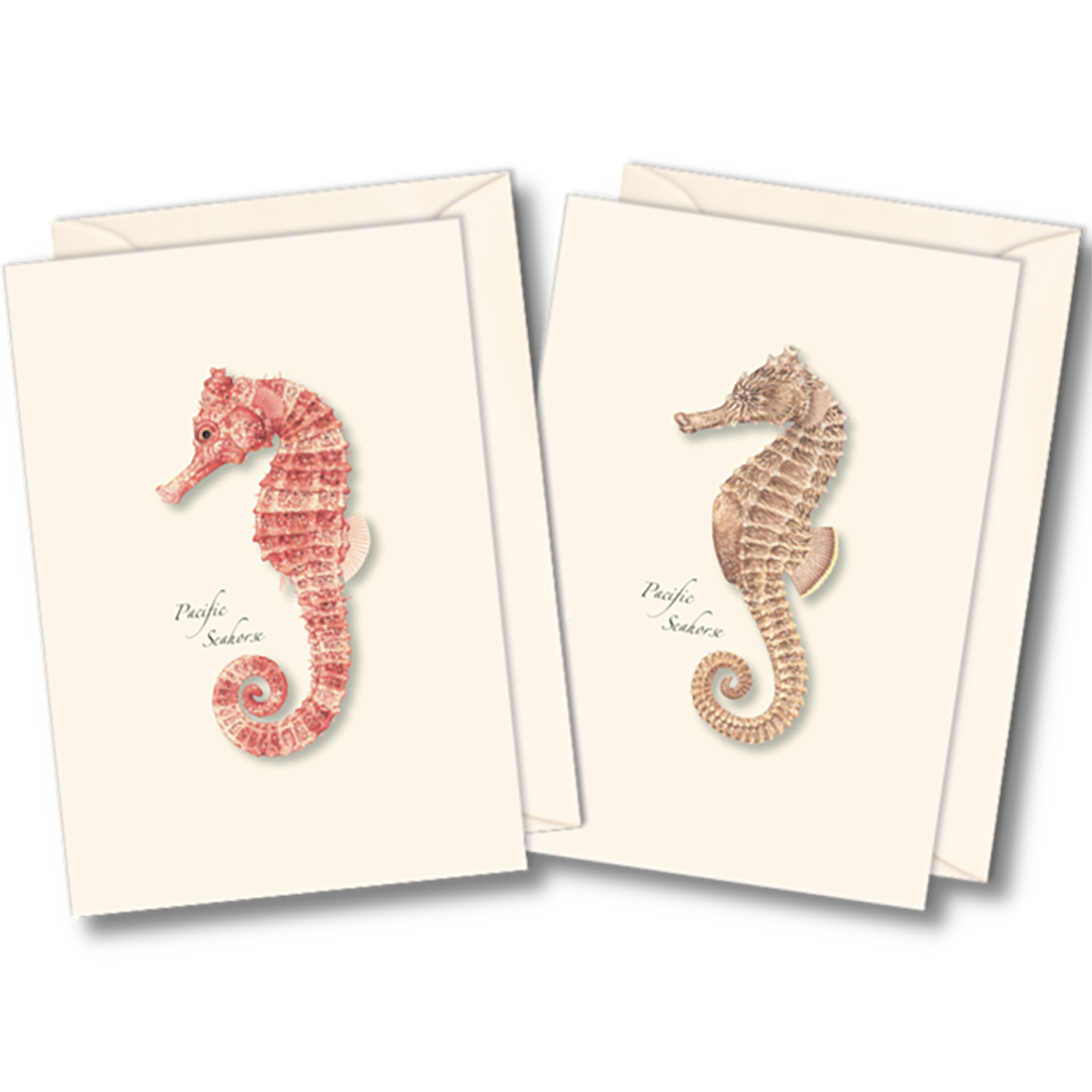 Pacific Sea Horses Boxed Notecards