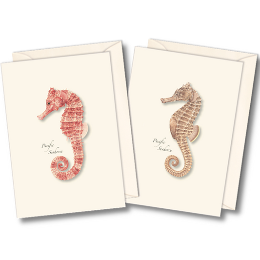 Pacific Sea Horses Boxed Notecards