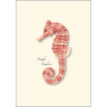 Pacific Sea Horses Boxed Notecards