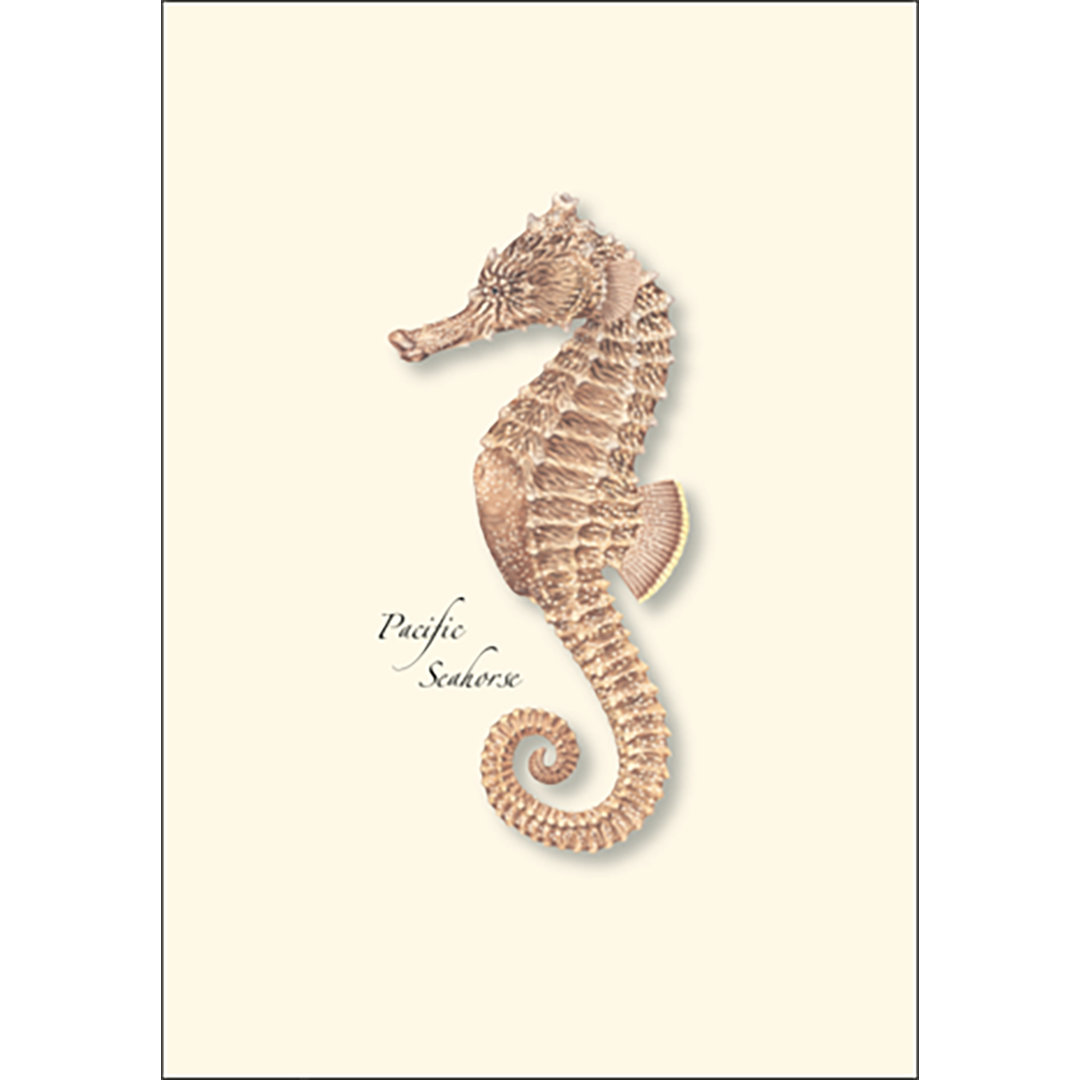 Pacific Sea Horses Boxed Notecards