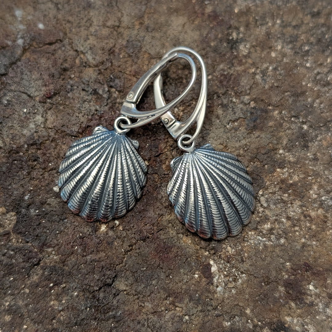 Seashell Earrings