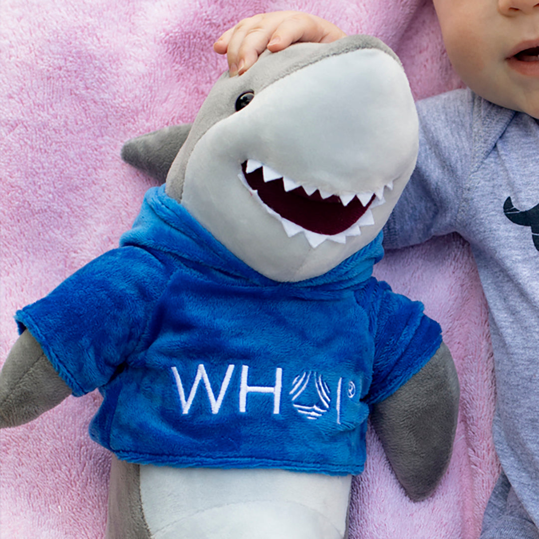 Love Sharks?