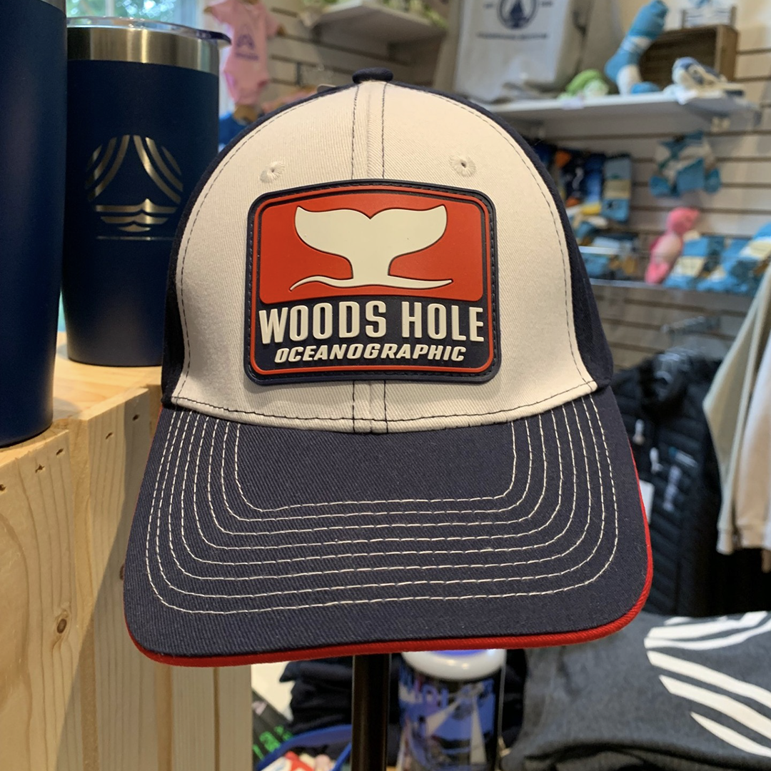 Whale Tail Patch Hat