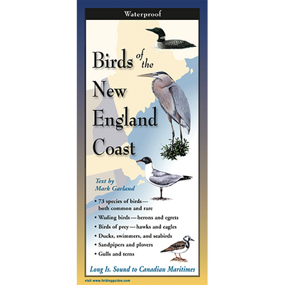 Birds of the New England Coast - Folding Guide