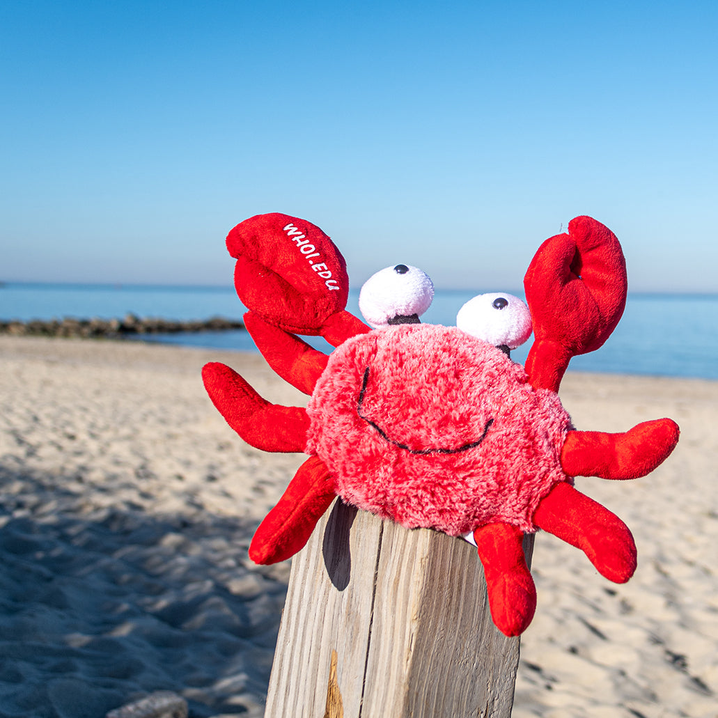 Red Crab Stuffed Animal