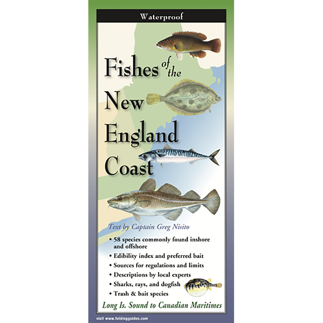 Fishes of the New England Coast - Folding Guide