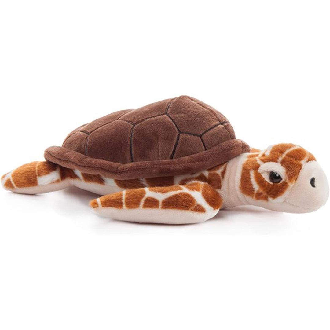 Loggerhead Sea Turtle Stuffed Animal