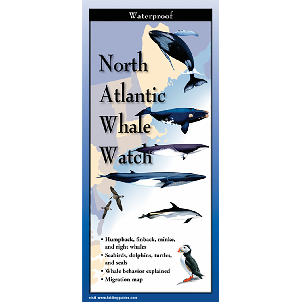 North Atlantic Whale Watch - Folding Guide