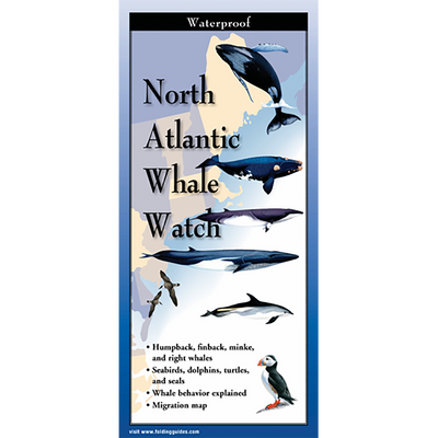 North Atlantic Whale Watch - Folding Guide
