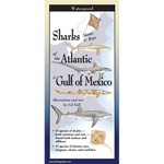 Sharks, Skates & Rays of the Atlantic and the Gulf of Mexico - Folding Guide