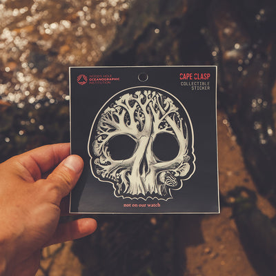 WHOI X CC Coral Skull Sticker