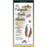 Tidepools of the North Atlantic - Folding Guide