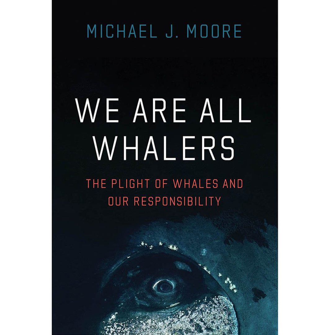 We Are All Whalers: The Plight of Whales and our Responsibility
