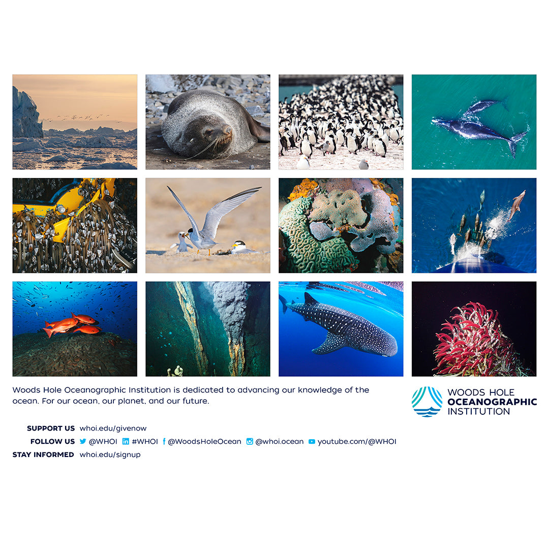 2023 WHOI Wall Calendar